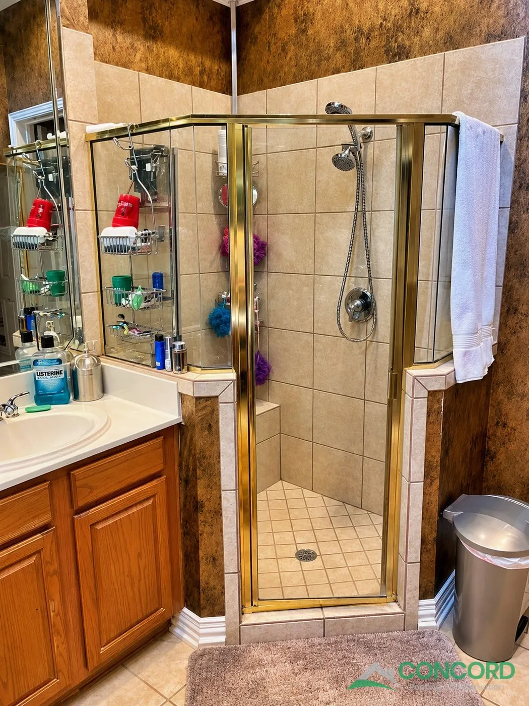 Master bathroom in Frisco, TX before the remodel, with a tile shower behind a brass-framed door