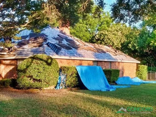 Old shingle roof being removed from a single-story brick home in Waxahachie, TX, with blue tarps protecting the shrubs and lawn